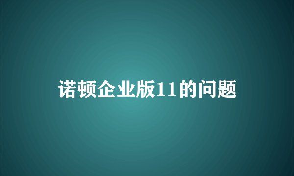 诺顿企业版11的问题