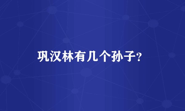 巩汉林有几个孙子?