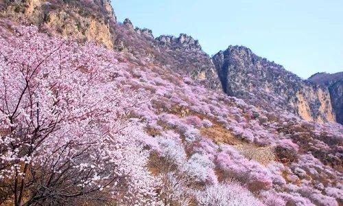 求邢台旅游景点大全排名,哪些比较值得去?