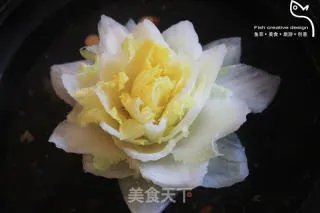 海葵静心莲