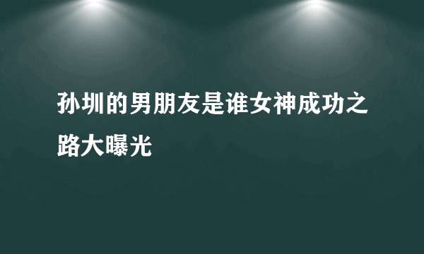 孙圳的男朋友是谁女神成功之路大曝光