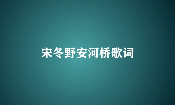 宋冬野安河桥歌词