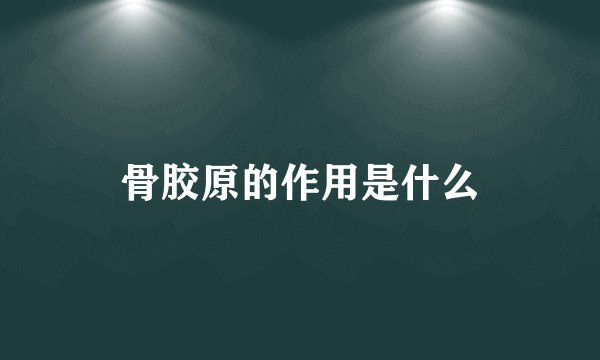 骨胶原的作用是什么