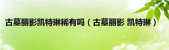 古墓丽影凯特琳稀有吗（古墓丽影 凯特琳）