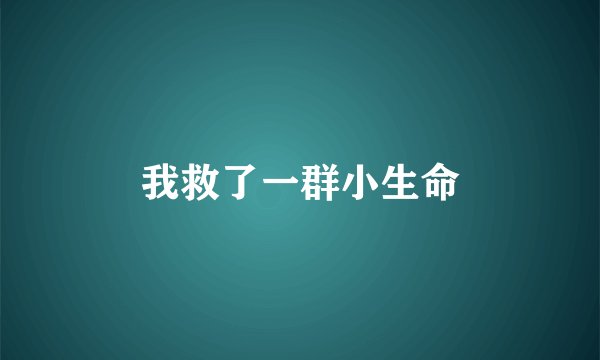我救了一群小生命