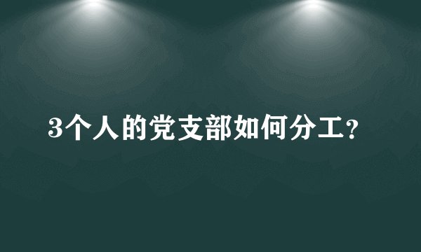 3个人的党支部如何分工？