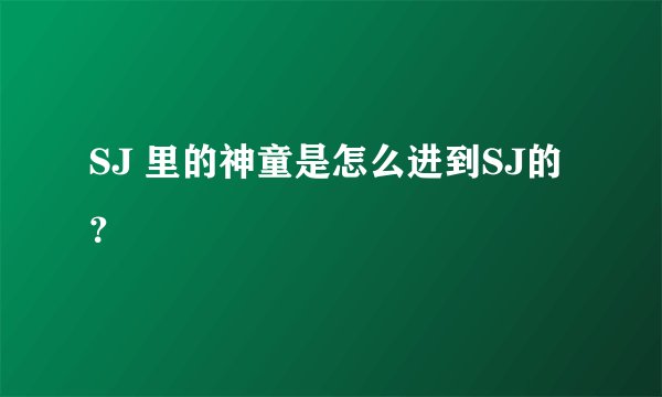 SJ 里的神童是怎么进到SJ的？