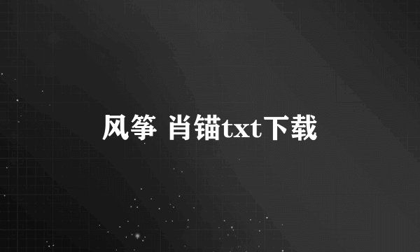 风筝 肖锚txt下载
