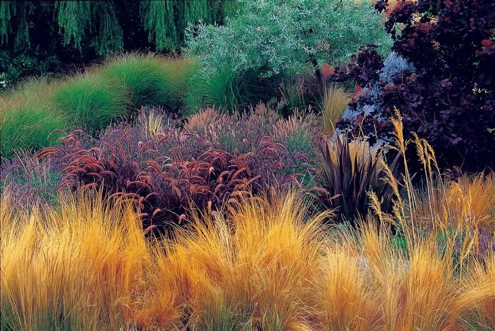 原创:花境按植物材料的分类及各自优缺点