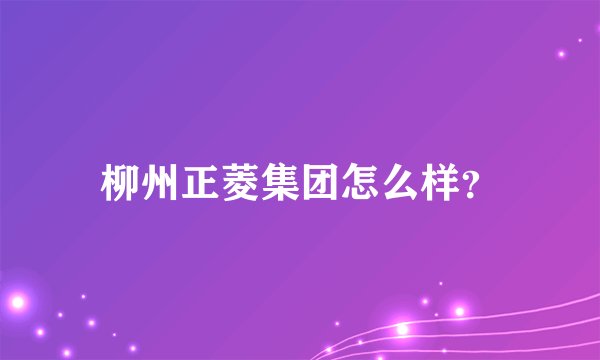 柳州正菱集团怎么样？