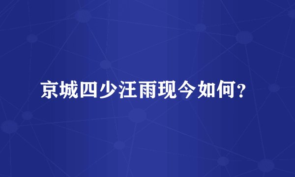 京城四少汪雨现今如何？