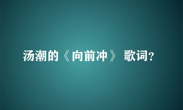 汤潮的《向前冲》 歌词？