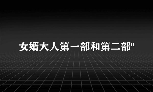 女婿大人第一部和第二部